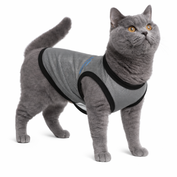 Літня сітчаста майка для котів та кішок "Ercedog", сіра, розмір XS