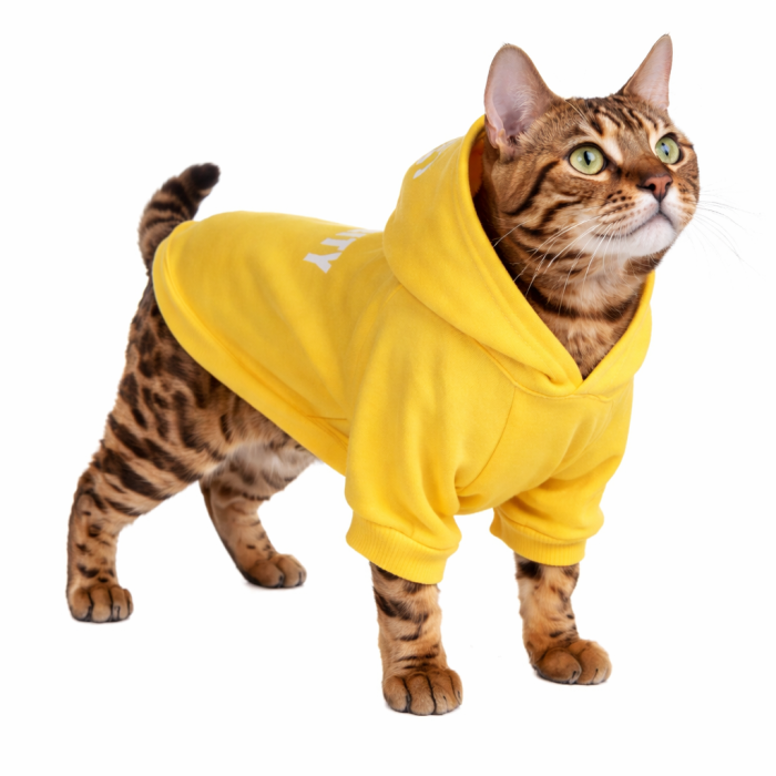 Осінньо-весняне худі для котів та кішок "Security" з капюшоном, жовте, розмір XS