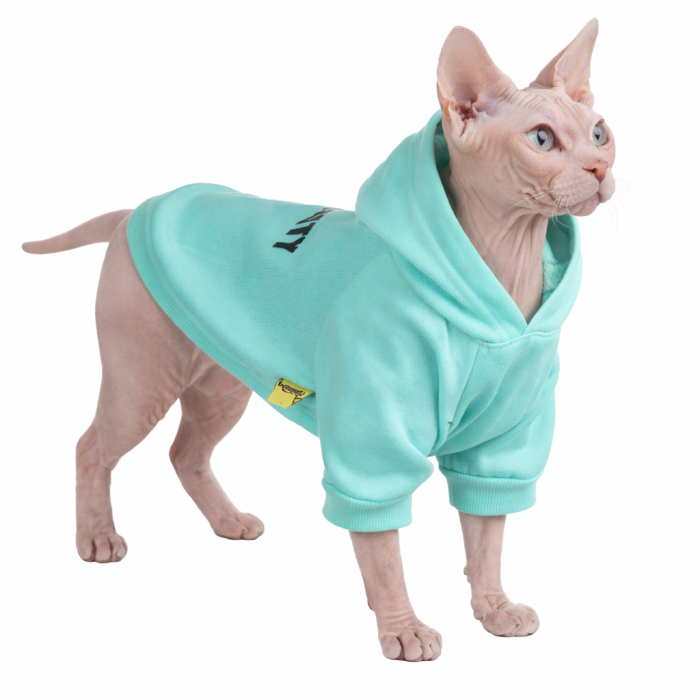 Осінньо-весняне худі для котів та кішок "Security" з капюшоном, бірюзове, розмір S