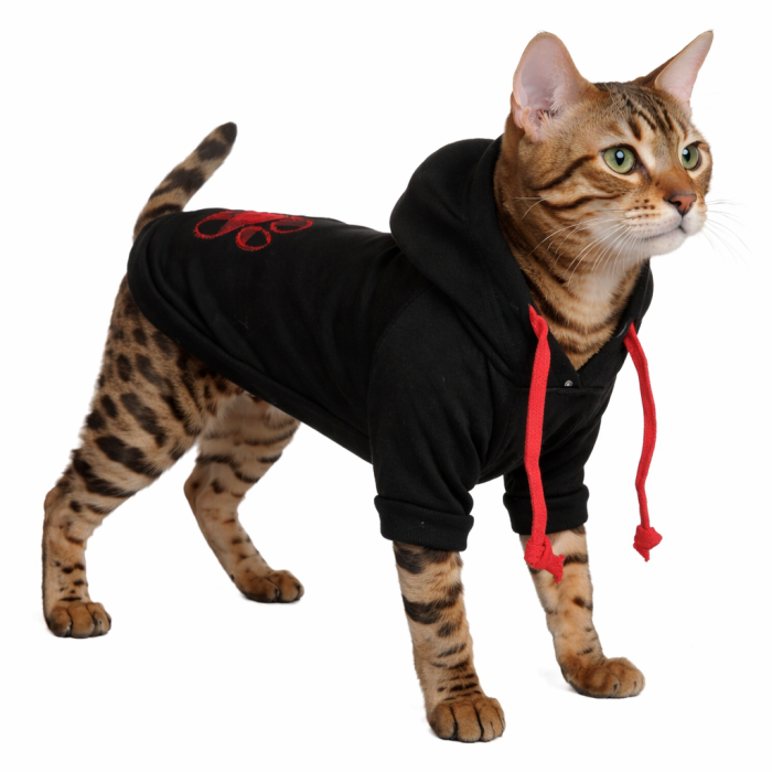 Осінньо-весняне худі для котів та кішок "Лапа", чорне, розмір S