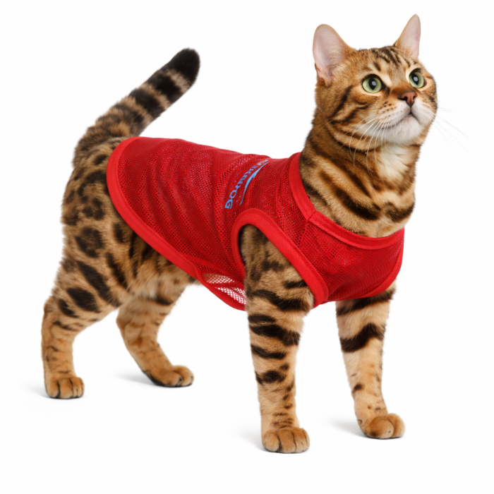 Летняя сетчатая майка для котов и кошек и котов "Ercedog", красная, размер M