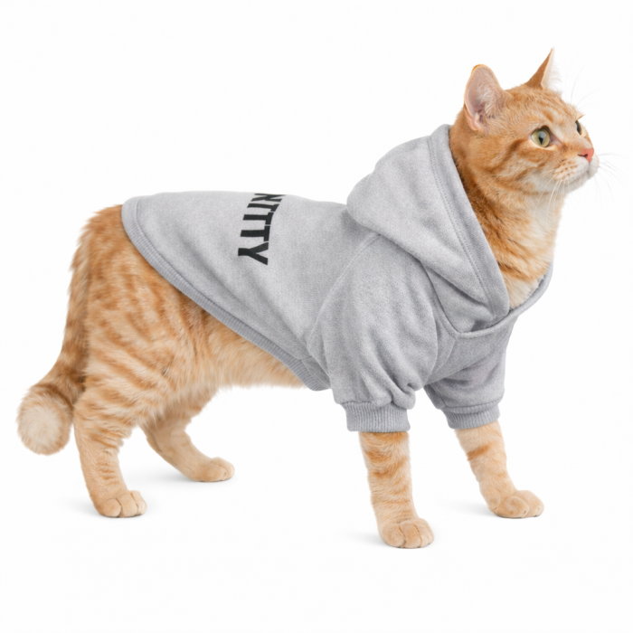 Весняне тонке подовжене худі для котів та кішок "Security", сіре, розмір 2XL