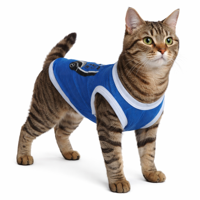 Літня тонка сітчаста майка для котів та кішок "Music", синя, розмір XL