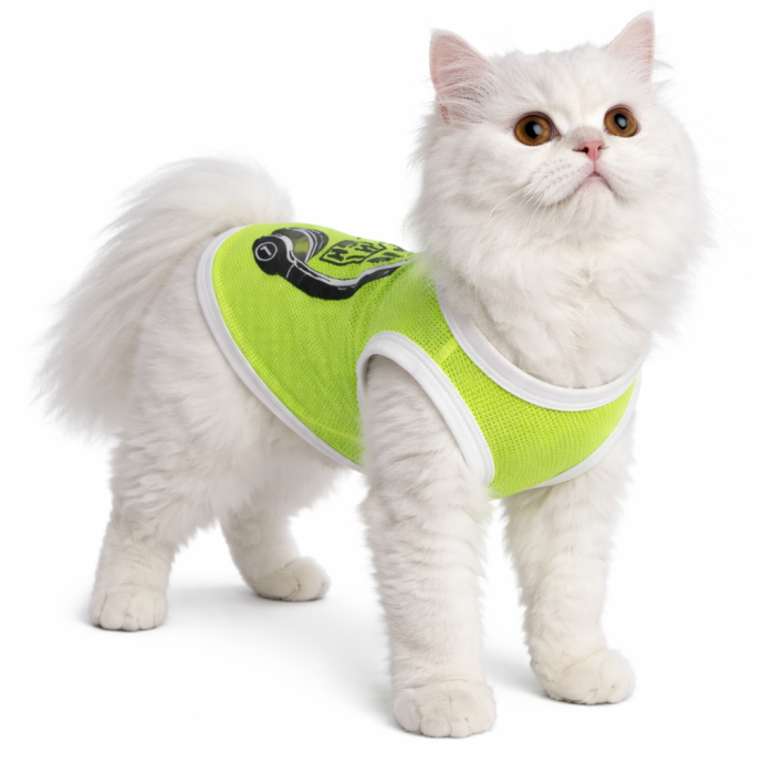 Летняя тонкая сетчатая майка для котов и кошек "Music", зеленая, размер S