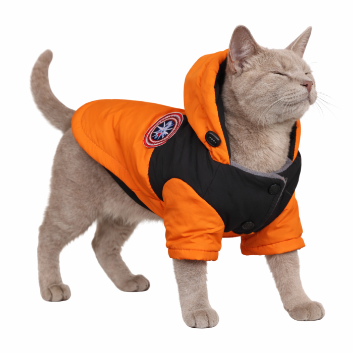 Зимова водонепроникна курточка для котів та кішок "DaDaGouPet", помаранчева, розмір L
