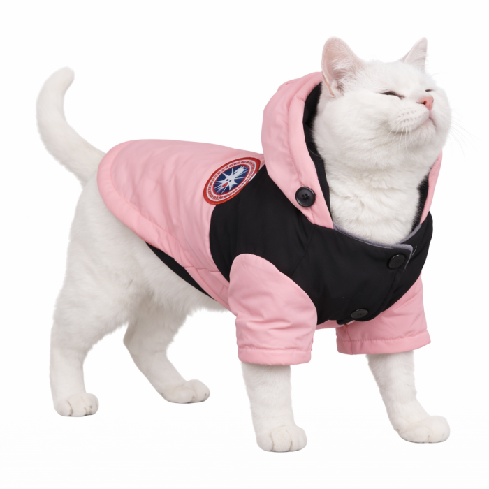 Зимова водонепроникна курточка для котів та кішок "DaDaGouPet", рожева, розмір 2XL