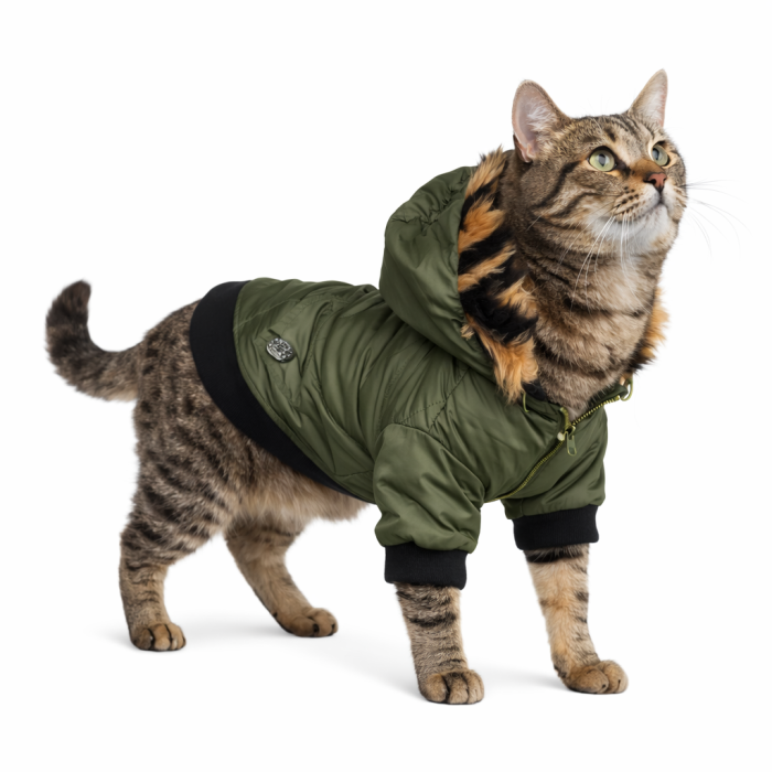 Осеннее-зимняя куртка для котов и кошек "PetsOO", хаки, размер S