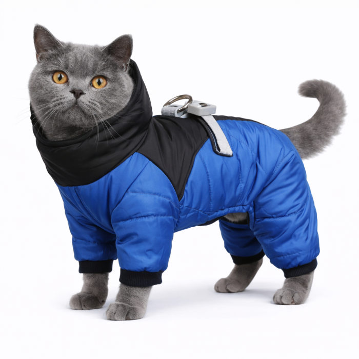 Зимний, теплый синтепоновый комбинезон для котов и кошек "DuoMM", синий, размер 2XL