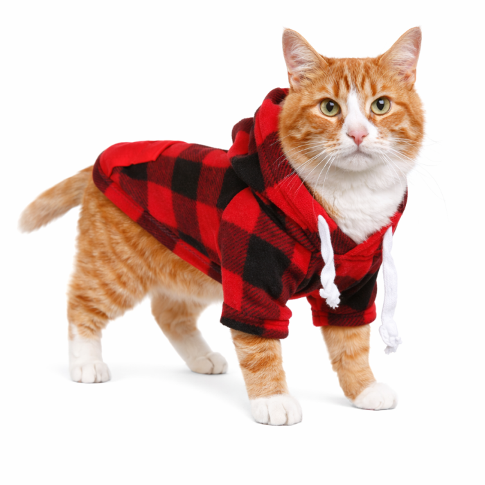 Осінній худі на флісі для котів та кішок з кишенею на блискавці "Sausage" Чорно-червона клітинка, розмір L