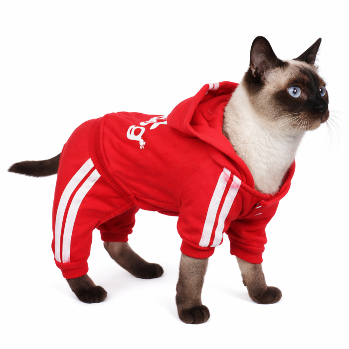 Спортивный костюм, комбинезон для котов и кошек "Adidog", красный, размер S