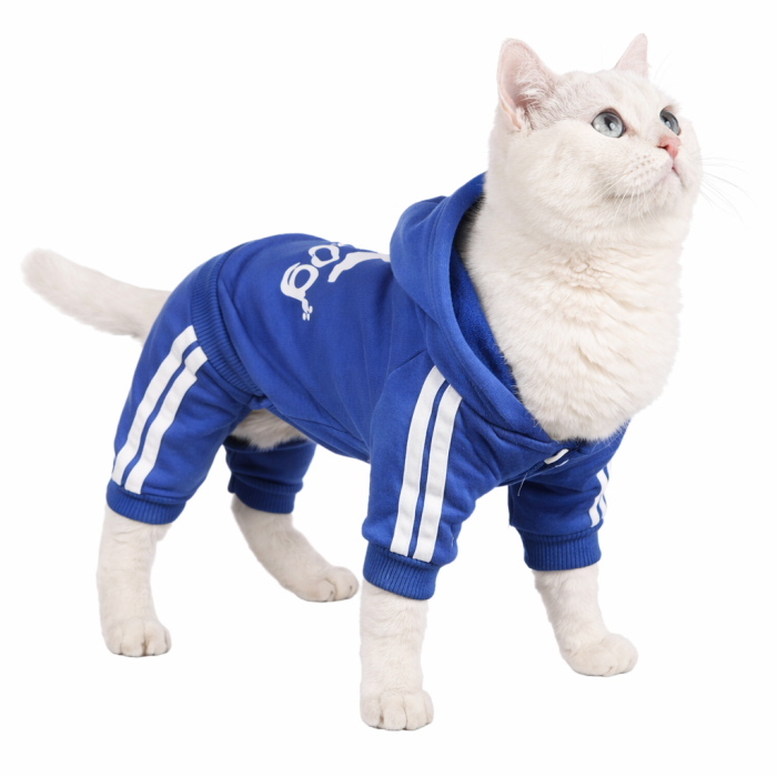 Спортивний костюм, комбінезон для котів та кішок "Adidog", синій, розмір XL