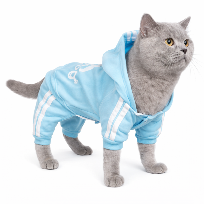 Спортивный костюм, комбинезон для котов и кошек "Adidog", голубой, размер 2XL