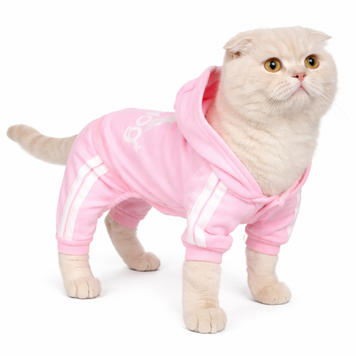 Спортивный костюм, комбинезон для котов и кошек "Adidog", розовый, размер S