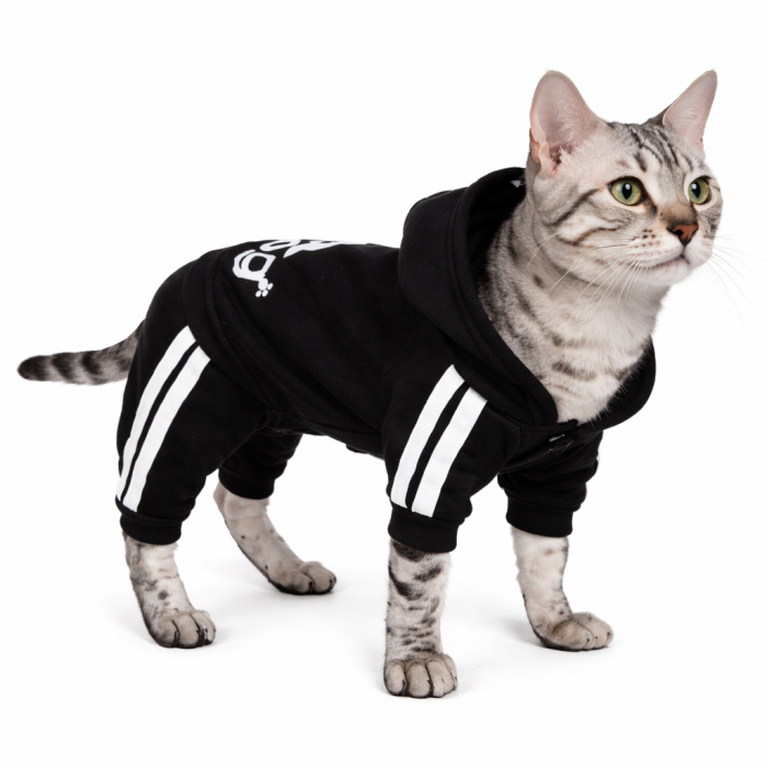 Спортивний костюм, комбінезон для котів та кішок "Adidog", чорний, розмір 2XL