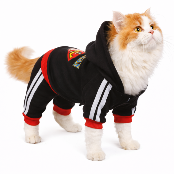 Спортивний костюм, комбінезон для котів та кішок "Superman", чорний, розмір L