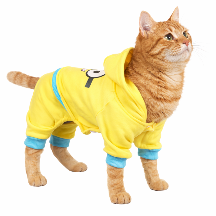 Спортивний костюм, комбінезон для котів та кішок "Міньйон", жовтий, розмір M