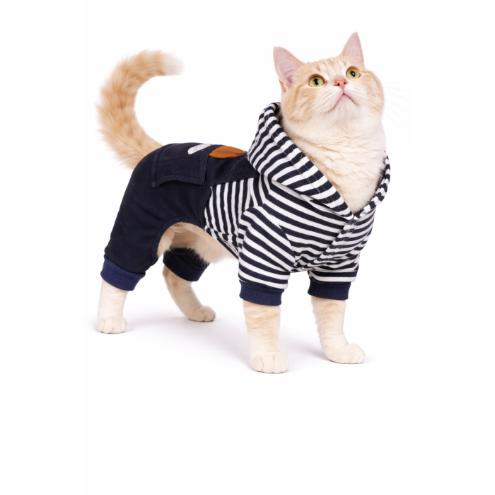 Осеннее-весенний костюм комбинезон для котов и кошек "Bear", синий, размер S