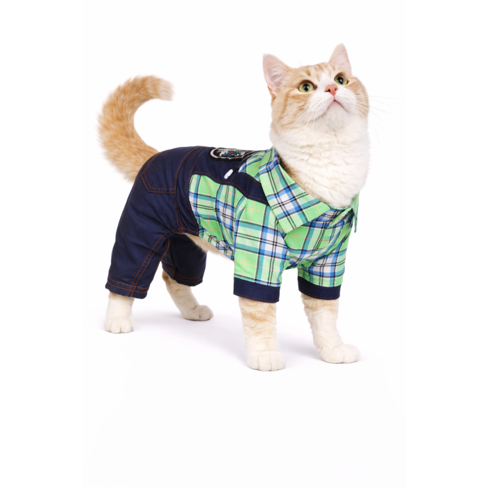 Літній джинсовий костюм для котів та кішок "Клітинка", зелений, розмір S