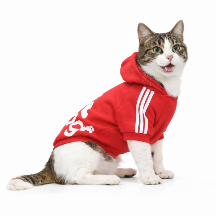 Осінньо-весняне спортивне худі для котів та кішок "Adidog" червоне, розмір 5XL