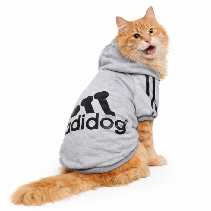 Осінньо-весняне спортивне худі для котів та кішок "Adidog" сіре, розмір 5XL