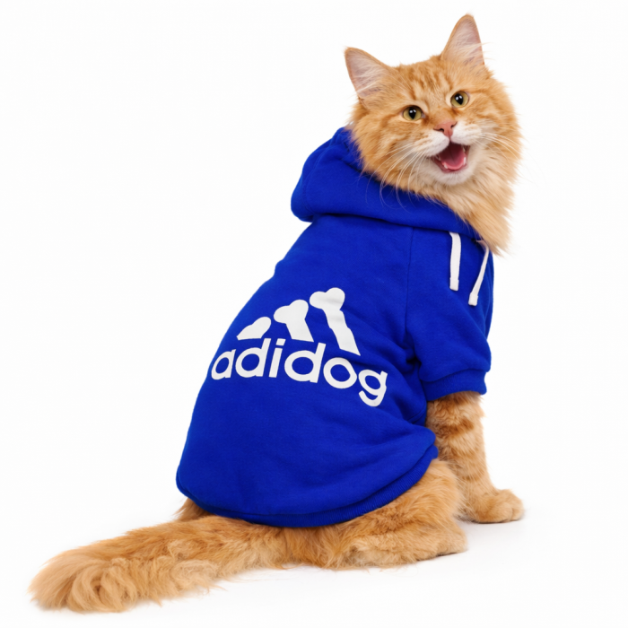 Осінньо-весняне спортивне худі для котів та кішок "Adidog" синє, розмір 2XL