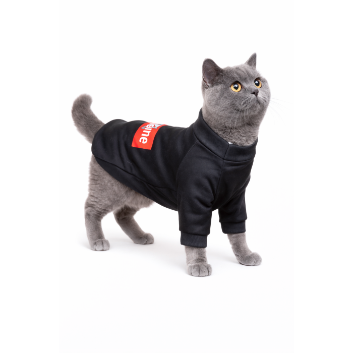 Осеннее-весенняя толстовка для котов и кошек "SUPREME", черная, размер 2XL