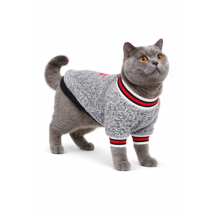 Осінньо-весняний светр для котів та кішок "Classic", синій, розмір S