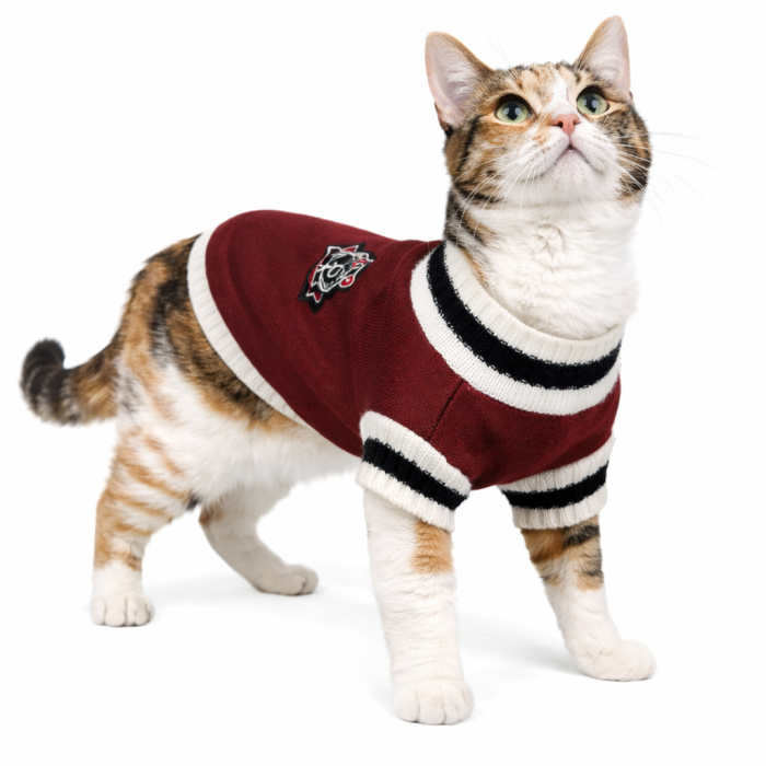 Осінній класичний жилет для котів та кішок "V-виріз", червоний, розмір M