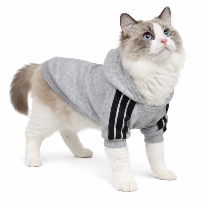 Осінньо-весняна однотонна толстовка для котів та кішок "Спорт", сіра, розмір 2XL