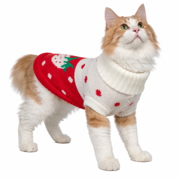 Теплый зимний вязаный акриловый свитер для котов и кошек "Красная клубника", размер 2XL
