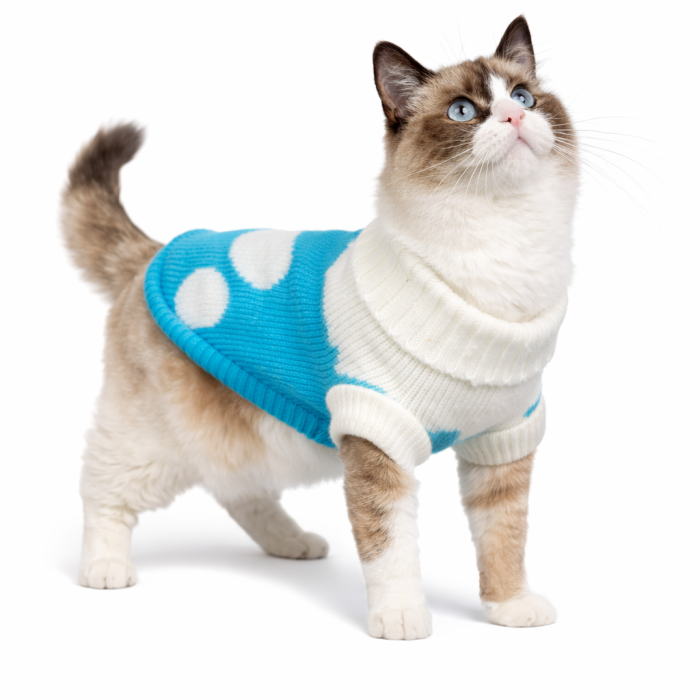 Теплий зимовий в'язаний акриловий светр для котів та кішок "Синє серце", розмір S