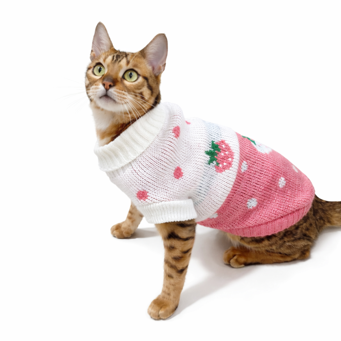 Теплий зимовий в'язаний акриловий светр для котів та кішок "Рожева полуниця", розмір 2XL