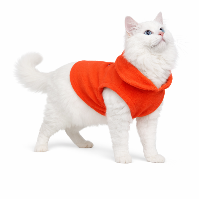 Осінньо-весняний жилет для котів та кішок з кільцем "Однотон", помаранчевий, розмір M