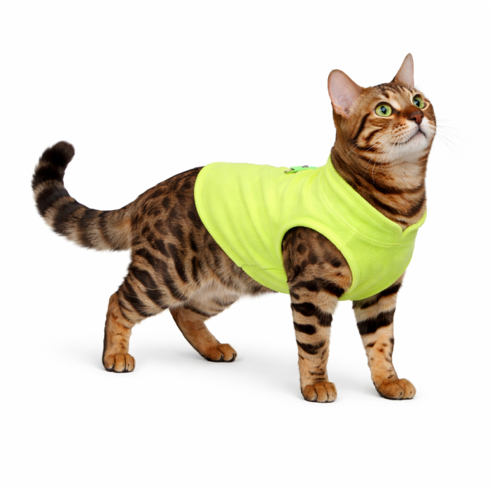 Осінньо-весняний жилет для котів та кішок з кільцем "Однотон", жовтий, розмір XL