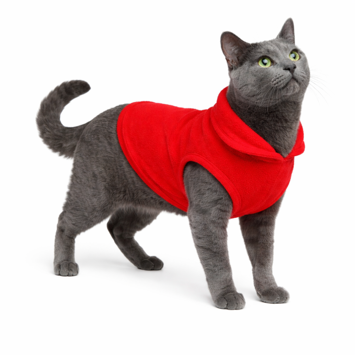 Осінньо-весняний жилет для котів та кішок з кільцем "Однотон", червоний, розмір M