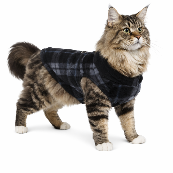 Осінньо-весняний жилет для котів та кішок з кільцем "Клітинка", чорний, розмір 2XL