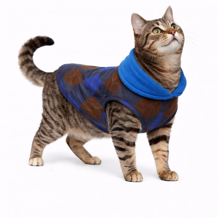 Осінньо-весняний жилет для котів та кішок з кільцем "Клітинка", синій, розмір S