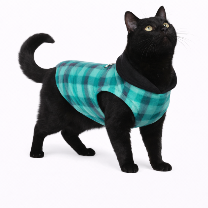 Осінньо-весняний жилет для котів та кішок з кільцем "Клітинка", блакитний, розмір M