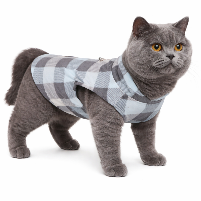 Осінньо-весняний жилет для котів та кішок з кільцем "Клітинка 2", блакитний, розмір XL