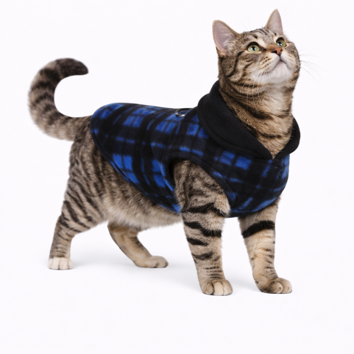Осінньо-весняний жилет для котів та кішок з кільцем "Клітинка 2", синій, розмір XL
