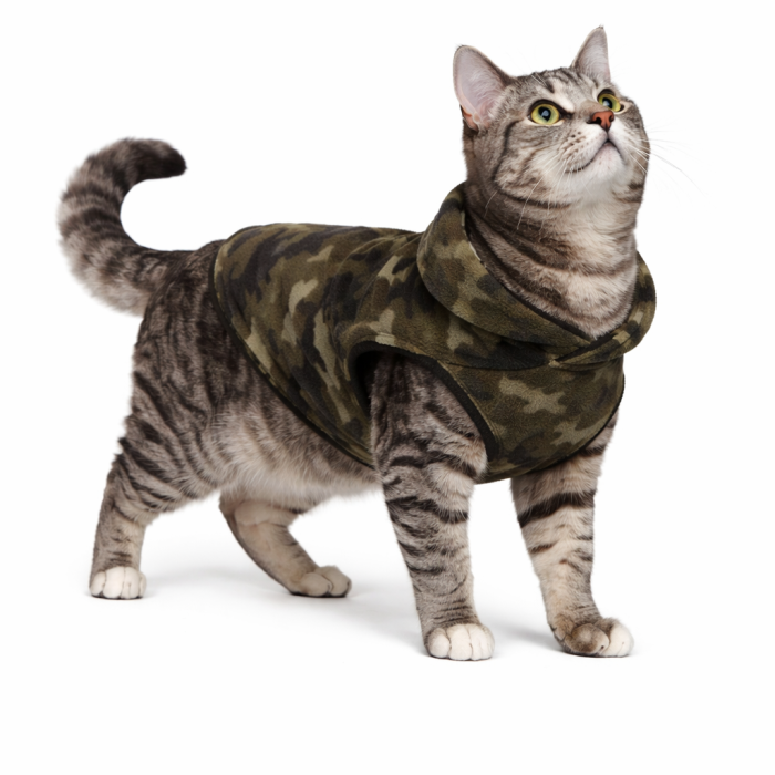 Осеннее-весенний жилет для котов и кошек с кольцом "Рисунок", хаки, размер S