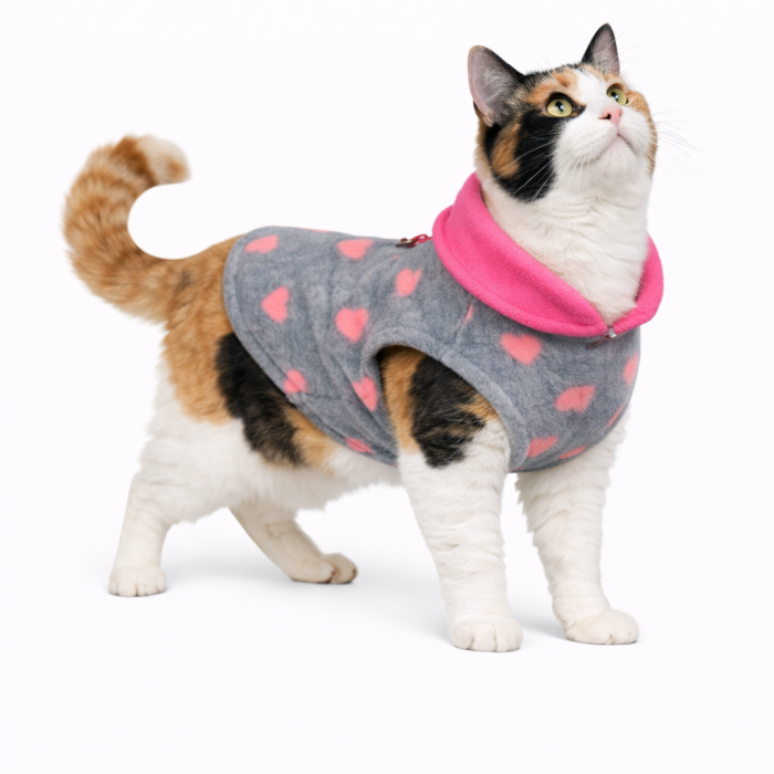 Осінньо-весняний жилет для котів та кішок з кільцем "Малюнок", сердечка, розмір XL