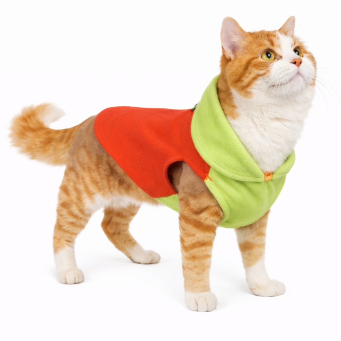 Осінньо-весняний жилет для котів та кішок з кільцем "Двоколірна", помаранчевий, розмір 2XL