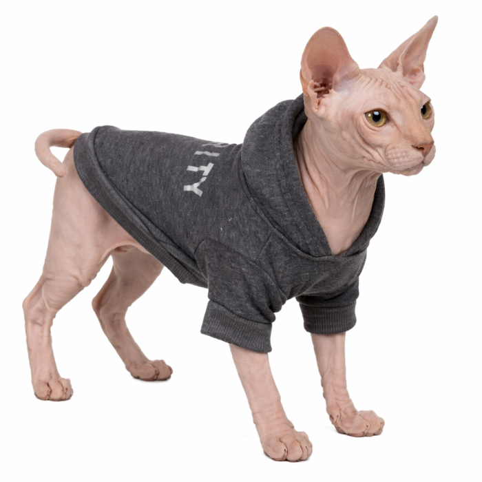 Осеннее весеннее тонкое худи для котов и кошек "Security", серое, размер XL