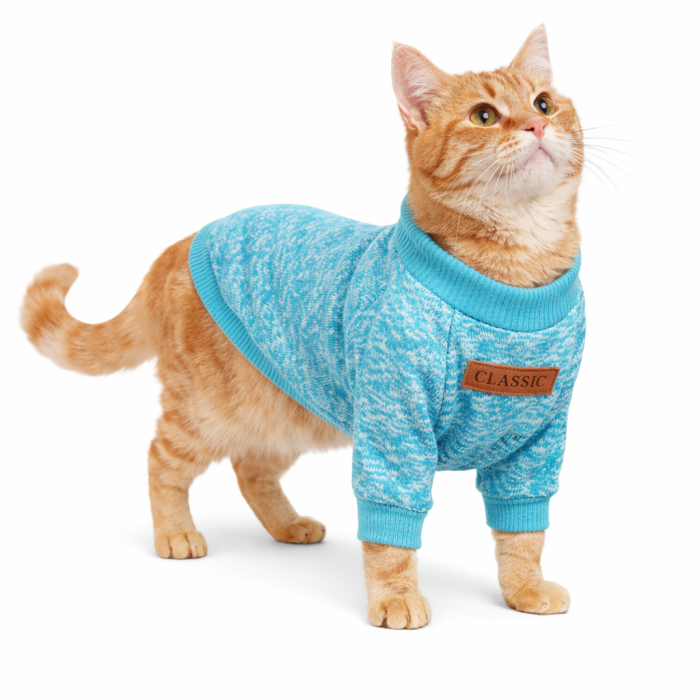 Осінньо-весняний джемпер для котів та кішок "Classic", блакитний, розмір L