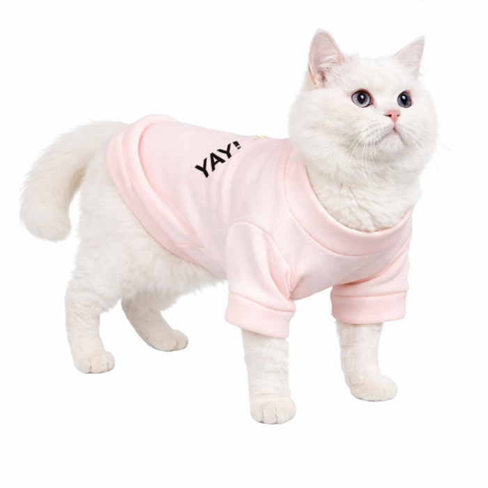 Демисезонный кроп-свитшот для котов и кошек "Good Day", розовый, размер XL