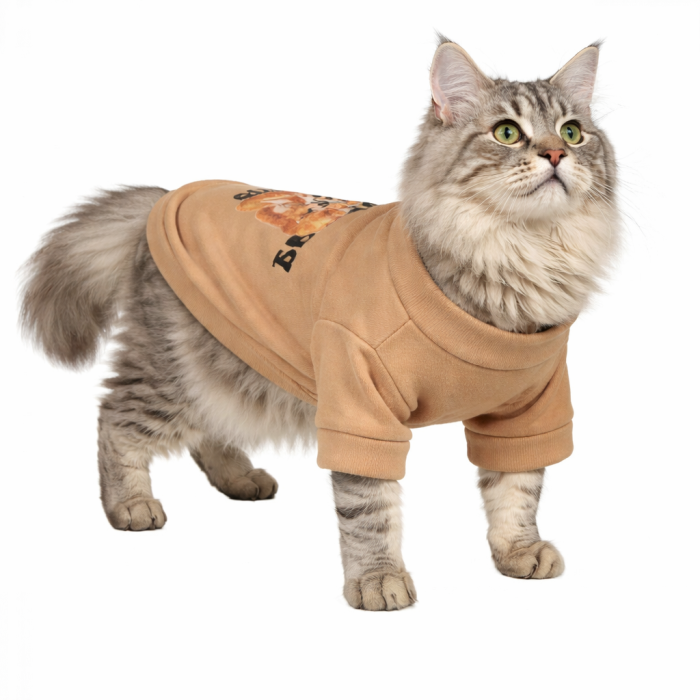 Демісезонний кроп-світшот для котів та кішок "Good Day", коричневий, розмір S