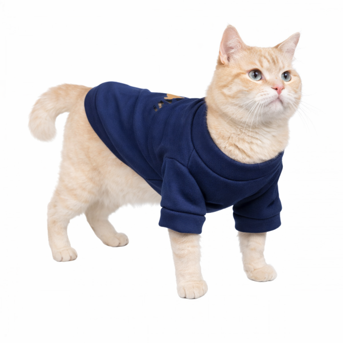 Демісезонний кроп-світшот для котів та кішок "Good Day", синій, розмір XL