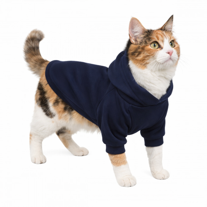 Осінньо-весняне худі з кишенею та капюшоном для котів та кішок "Однотон", синя, розмір XL