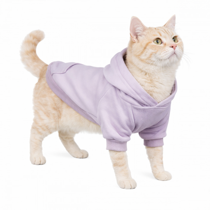 Осеннее-весеннее худи с карманом и капюшоном для котов и кошек "Однотон", белая, размер 2XL